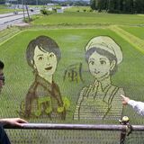 那須塩原出身の歌手・歌心さんと大関和が田んぼアートに　「風」テーマに農業・中野さん…
