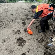 【最新】宇都宮のクマ、午後6時すぎ西川田町「黒木橋」東側の住宅街で目撃か