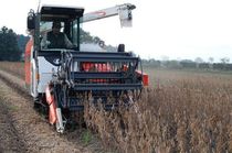 日本型食生活に欠かせない大豆　全国９位の生産規模誇る