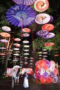 鬼怒川公園を幻想的に彩る和傘の飾り物＝22日午後６時50分、日光市藤原