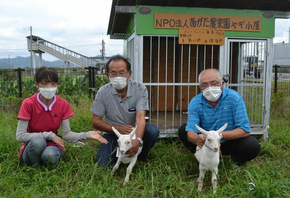行方不明になったヤギの「あいか」（右）と「はるか」＝２０２２年９月
