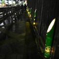 巴波川を照らす竹あかり　栃木市中心部で来年２月まで