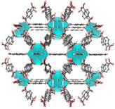 北川さん開発、ＰＦＡＳ除去期待