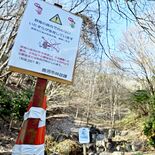 荒らされた休憩所、桜の木も抜かれ…地元民困惑　鹿沼の茂呂山でいたずら被…