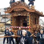 鹿沼秋まつり　７、８日、５年ぶり開催　彫刻屋台26台登場