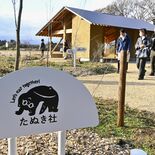 米粉バウムクーヘンや季節のジェラート販売　那須に14日「たぬき社」オー…