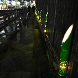 巴波川を照らす竹あかり　栃木市中心部で来年２月まで