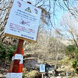 荒らされた休憩所、桜の木も抜かれ…地元民困惑　鹿沼の茂呂山でいたずら被害か