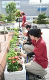 駅前を花で飾り 利用者ら出迎え