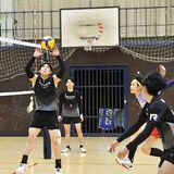 「プレーオフ進出目指す」　バレーＶリーグ男子・レーヴィス栃木　参入２季目、ホームで25日開幕