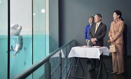 両陛下が三重へ 鳥羽水族館視察