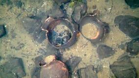 琵琶湖に１万年超前の縄文土器