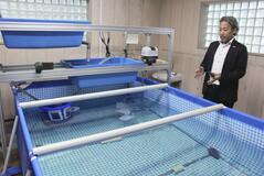 陸上でエビ養殖実証