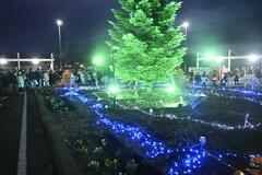 乗降客を光で送迎