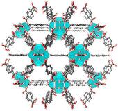 北川さん開発、ＰＦＡＳ除去期待