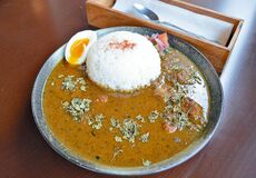 那須　　森のカフェ　風雅週替わりカレー