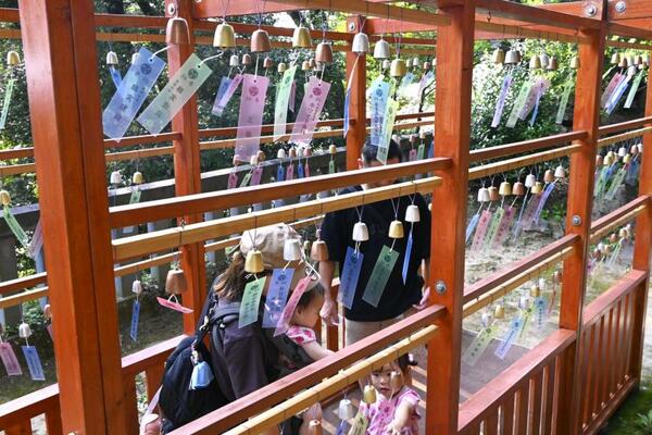 唐澤山神社の夏の風物詩「風鈴参道」