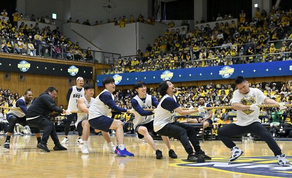 ファン感謝デーで綱引きをする小川チームの選手とスタッフたち＝ブレックスアリーナ宇都宮、森田大地撮影