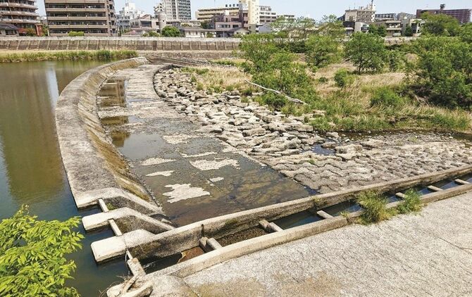 アユの大量死が見つかった広瀬川の郡山ぜき。手前は大量死が近くで見つかった右岸側魚道