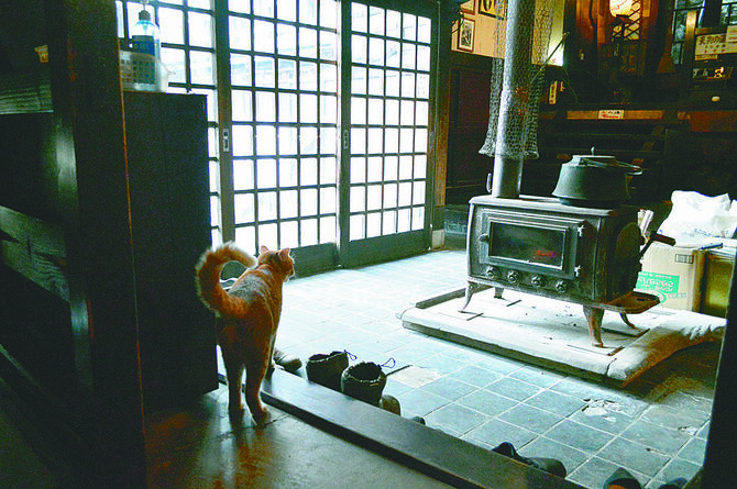 看板猫がお客さんをお出迎えする