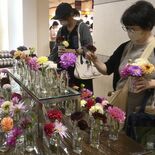 お好きなダリアをどうぞ　東武宇都宮百貨店でイベント始まる　今年は栃木と…
