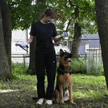 【夏に挑む　若手記者体験記】⑦警察犬訓練士　地道な訓練通じ“人犬一体”に