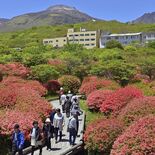 高原染めるヤマツツジ　那須で見頃に　新緑や青空、那須連山と共演