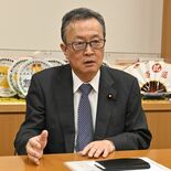 ネットの偽情報、国民投票での対策必要 衆院憲法審・船田会長代理に聞く