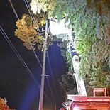 倒木が電線に接触、1690世帯が停電　芳賀・高根沢