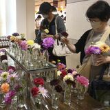 お好きなダリアをどうぞ　東武宇都宮百貨店でイベント始まる　今年は栃木と大田原でも