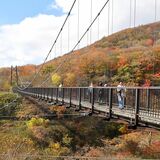 つつじ吊橋秋色に染まる　那須岳の麓で紅葉見頃