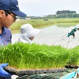 「夢ささら」大田原で田植え開始　高品質な日本酒醸造へ期待