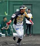 栃木GＢ 延長十回譲らず　群馬と５－５　ＢＣＬ 首位をキープ