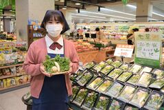 「春の七草セット」販売始まる　お正月で疲れた胃にも優しく