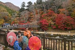 那須塩原・紅の吊橋で紅葉見頃