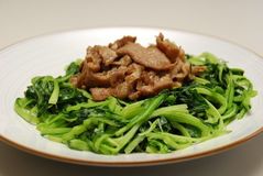 ＜シャキシャキ小松菜＞小松菜のおいしさ再発見！！