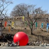 鹿沼市花木センターで20日から初の野外アート展　空間全体を芸術作品に　「水仙フェア」と同時