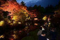 日光山輪王寺「逍遙園」でライトアップ