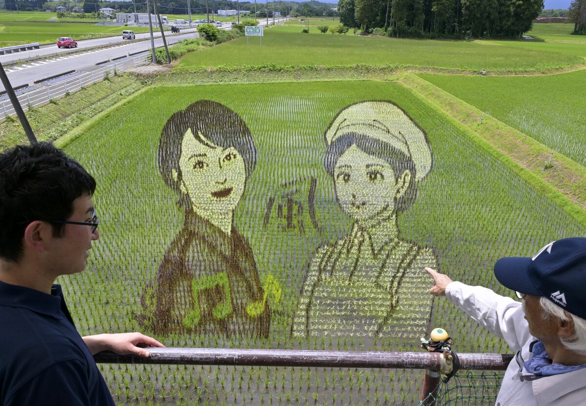 那須塩原出身の歌手・歌心さんと大関和が田んぼアートに 「風」テーマ