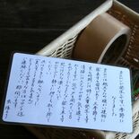 カメムシ県内急増中、悪臭防ぐには　アンケートで７割「家で見た」　高温で…