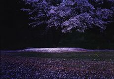 年間賞は君島哲郎さん金賞