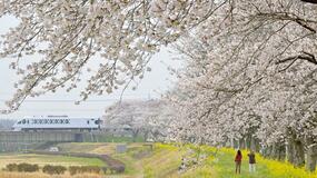 小倉川かっぱ広場（栃木）