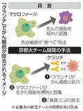 京大、がん細胞除去を効率化