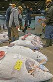 宇都宮・中央卸売市場で初競り