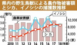 鳥獣被害２年連続で減　農作物16％、３億円を下回る　栃木県内18年度