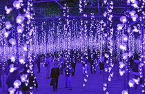 あしかがフラワーパーク、イルミネーション