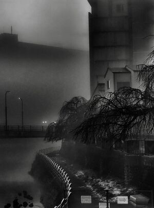 古内さん(宇都宮)に金賞 「夜明け前」　深い朝霧に包まれた市中心部とらえる　第30回紙上コンテスト