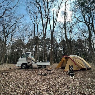 自然の森そのままのロケーションでキャンプを楽しめる「那須焚き火の森野営キャンプ場」＝那須町