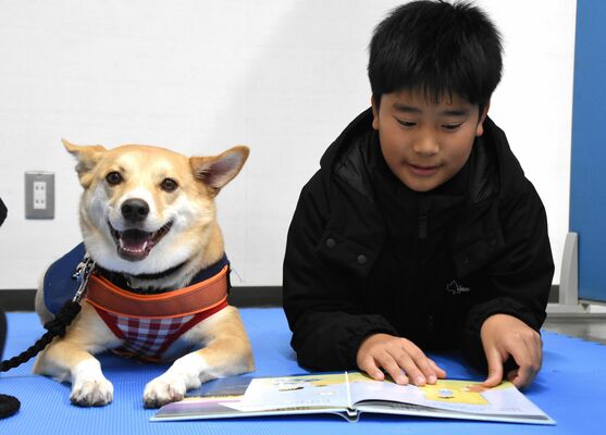 セラピー犬に絵本を読み聞かせる子ども