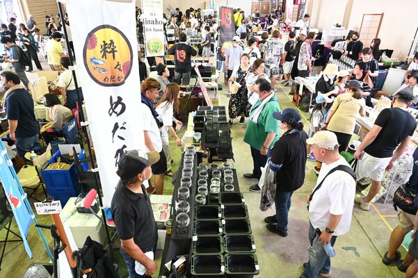 全国からメダカ愛好家が集ったメダカフェス